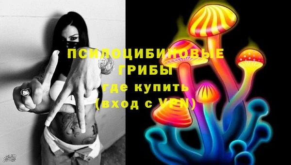 2c-b Верхнеуральск